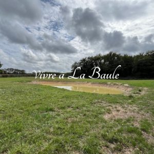 chaumière-guerande-ref-1951-terrain-3